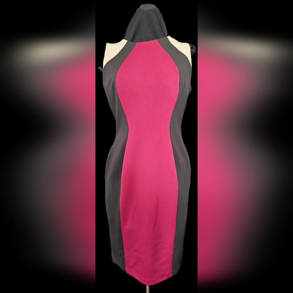 Maggy London Black and Burgundy Sleeveless Colorblock Dress